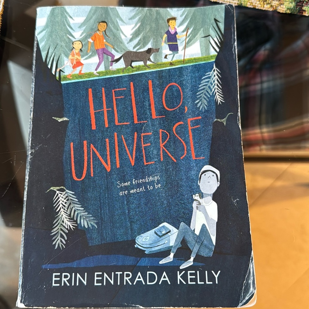 Book- Hello Universe